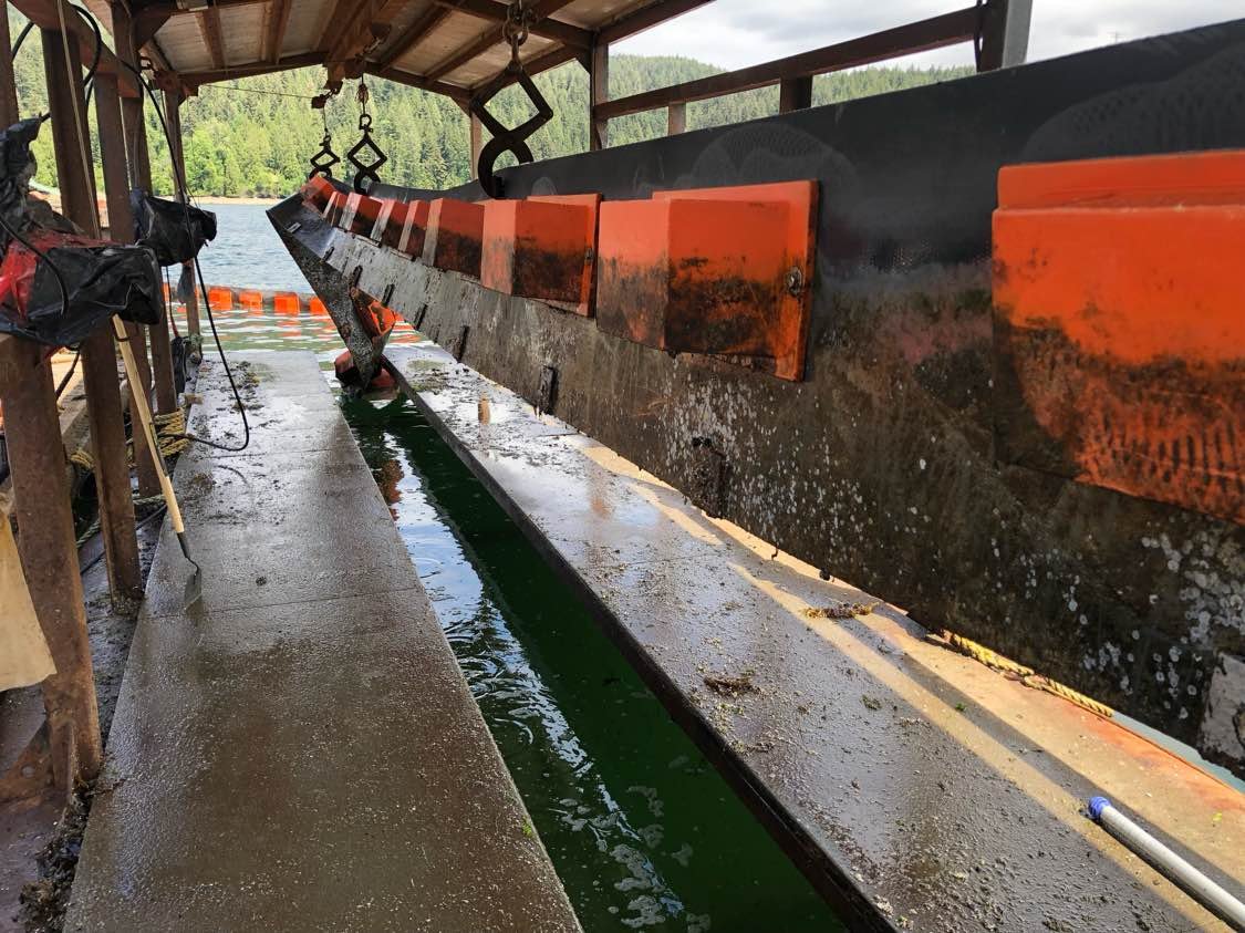 Containment boom being pressure washed on maintenance barge